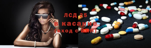 ГАЛЛЮЦИНОГЕННЫЕ ГРИБЫ Медвежьегорск