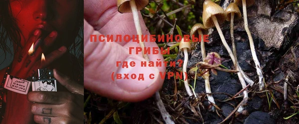 эйфоретик Мегион